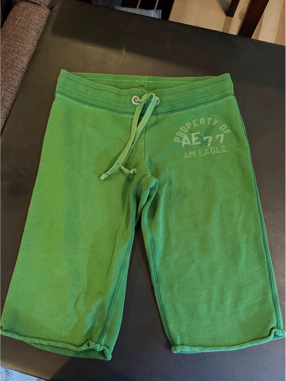 American Eagle Green Sweat Shorts with Drawstring Waist